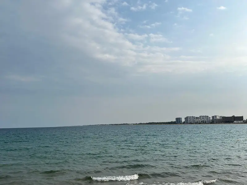 Mersin’in En İyi Rakı Balık Mekanları