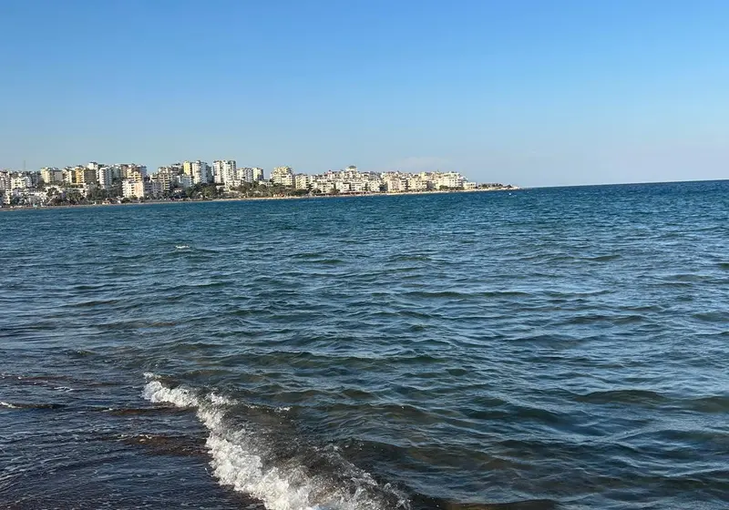 Marina’da Gün Batımı Akşam Yemeği